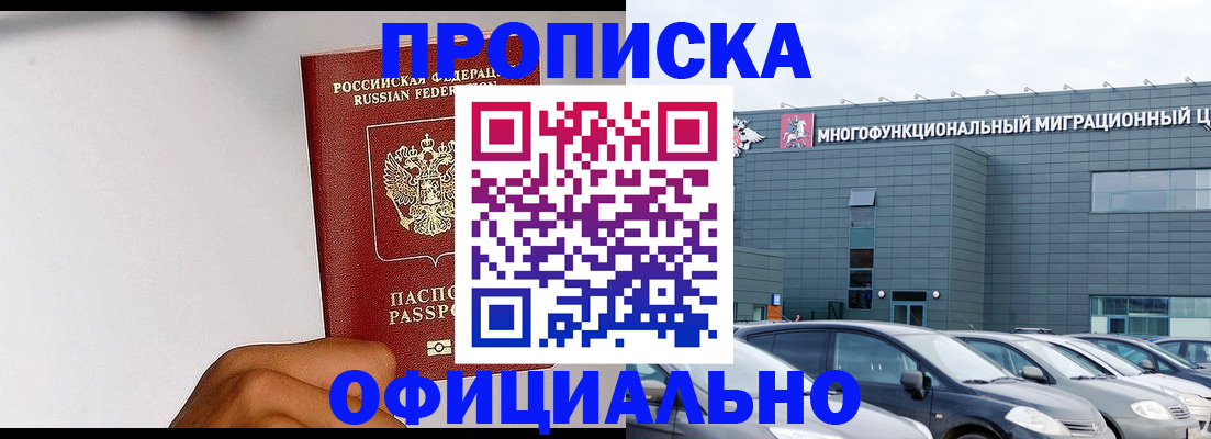 прописка поиск в Сафоново